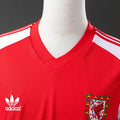 Wales 1982 Home - Imagen 5