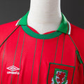 Wales 94/96 Home - Imagen 6