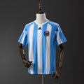 Argentina 2010 Home - Imagen 1