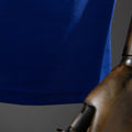 Chelsea 09/10 Home - Imagen 2